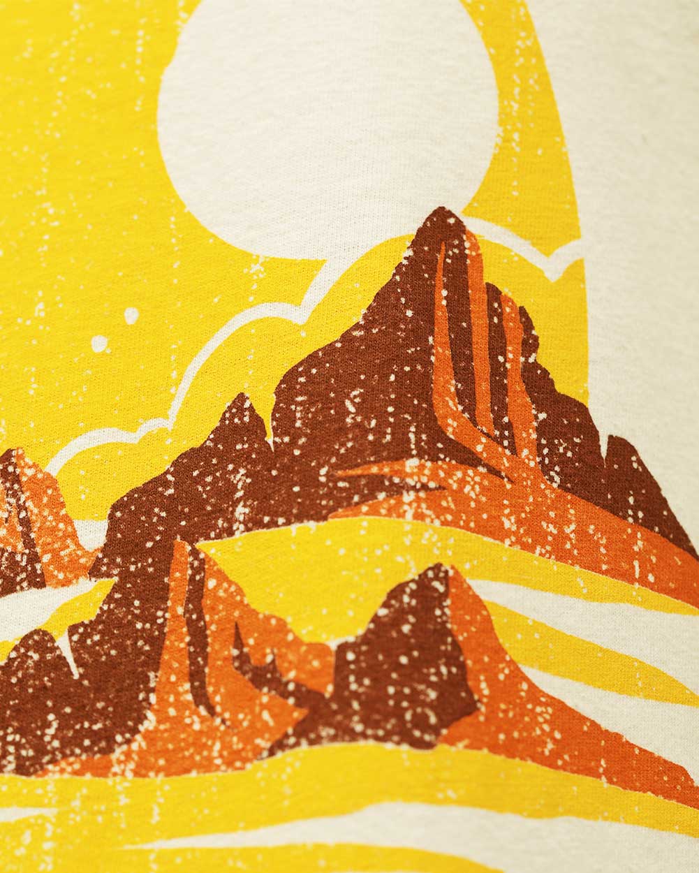 Desert Dwellers Vintage Tee