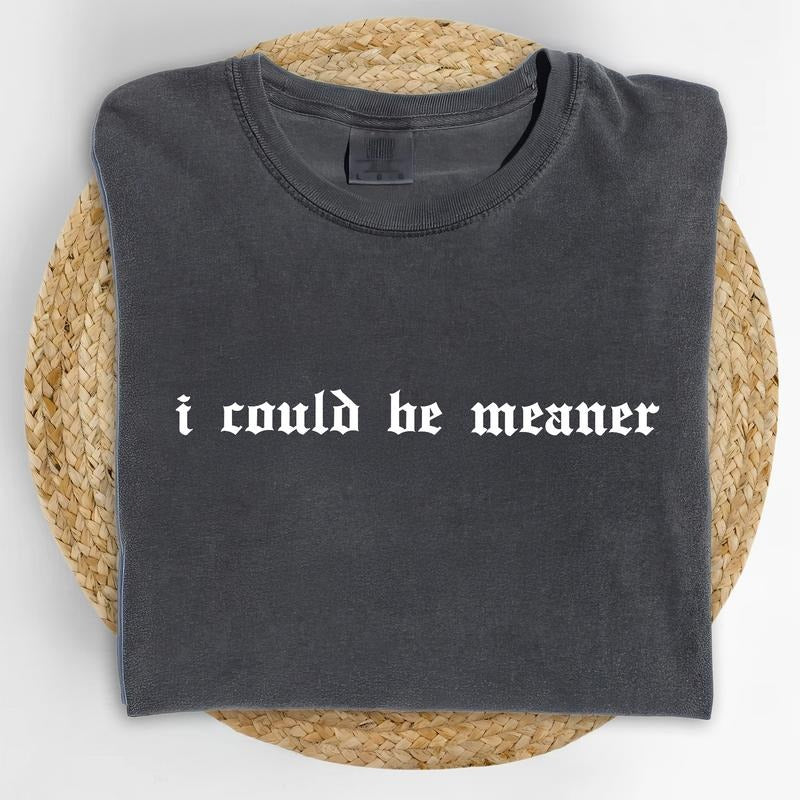 I Could Be Meaner Comfort Colors Shirt, Vintage Funny Humor T-shirt, Sarcastic Graphic Tee, Funny Women Outfits, Sarcasm Clothing, Funny Gift For Her