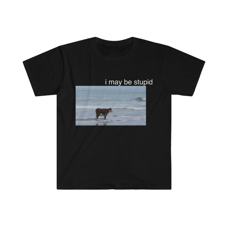I May Be Stupid Cow On Beach Funny Meme Tshirt  sweater and hoodie