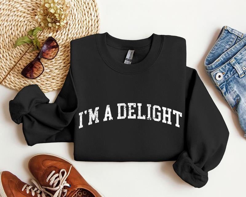 I'm A Delight Funny Sweatshirt Sarcastic Unisex Soft Sweatshirt Adult Cozy Gift Top Women's Men's Gift College Style Top TK43GD
