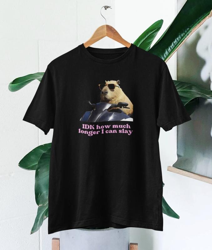 IDK How much longer I can slay T-shirt,  Slay T-shirt,  Funny top  fans,  Capybara top,  Funny Capybara, Slay T-shirt,  Funny t-shirt Menswear Underwear Tshirt Streetwear