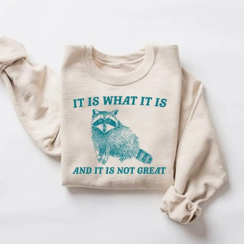 It Is What It Is And It Is Not Great Sweatshirt, Raccoon Shirt, Mental Health Sweatshirt, Meme Sweatshirt, Funny Sweatshirt Women
