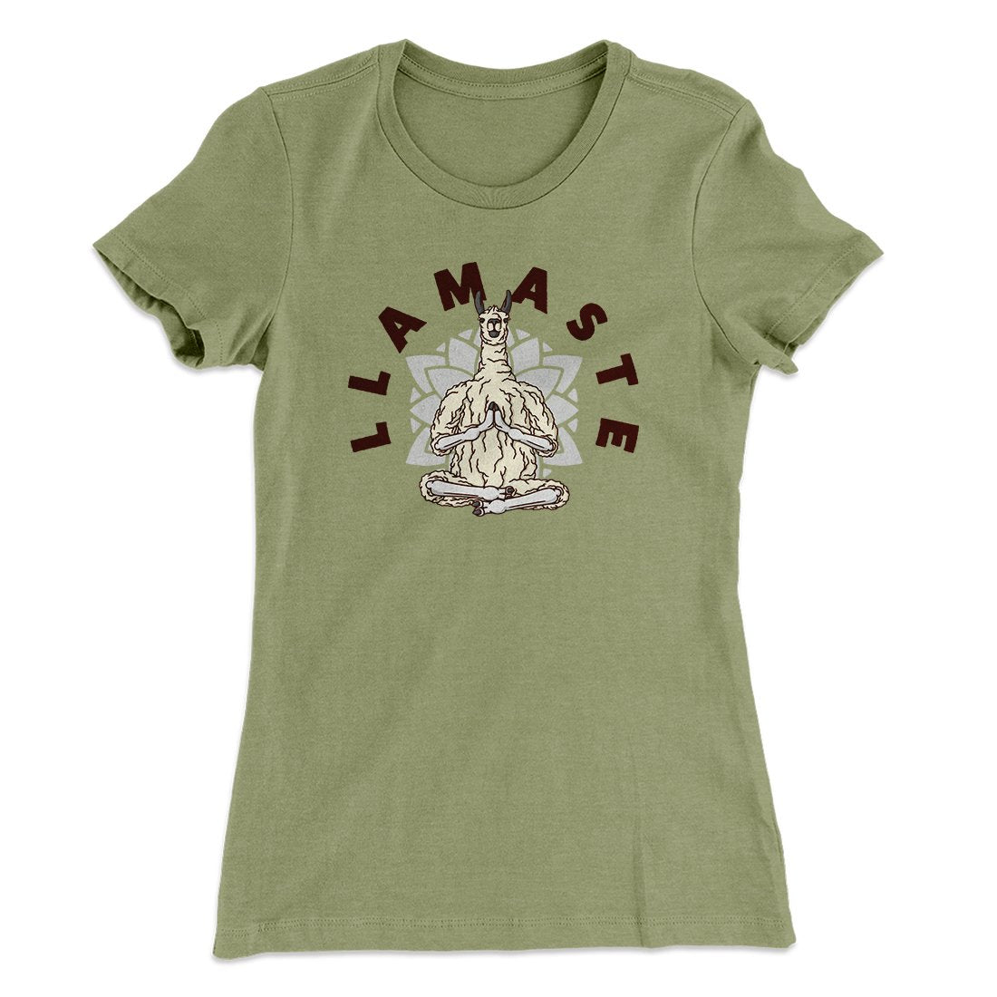 Llamaste Funny Women's T-Shirt