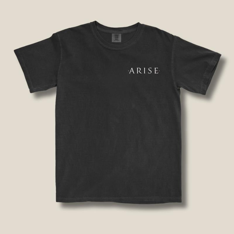 Subtle Solo Leveling Inspired Tee, Arise Anime Shirt, Subtle Anime Merch, Comfort Colors, Aesthetic Gift for Anime Fans