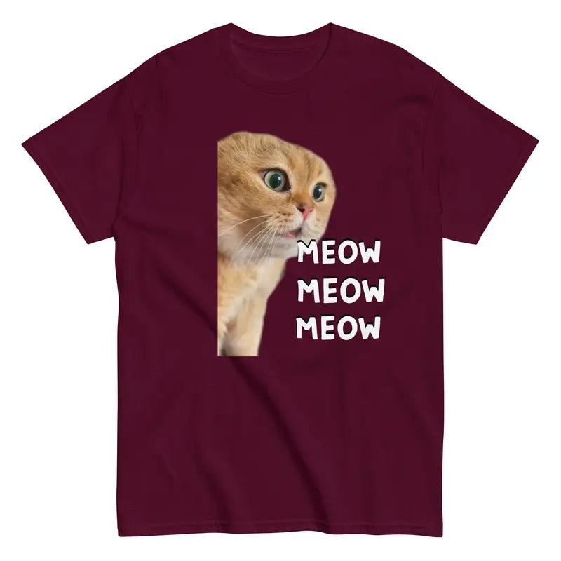 Talking Meme Cat Viral Video Funny Cat  sweater and hoodie