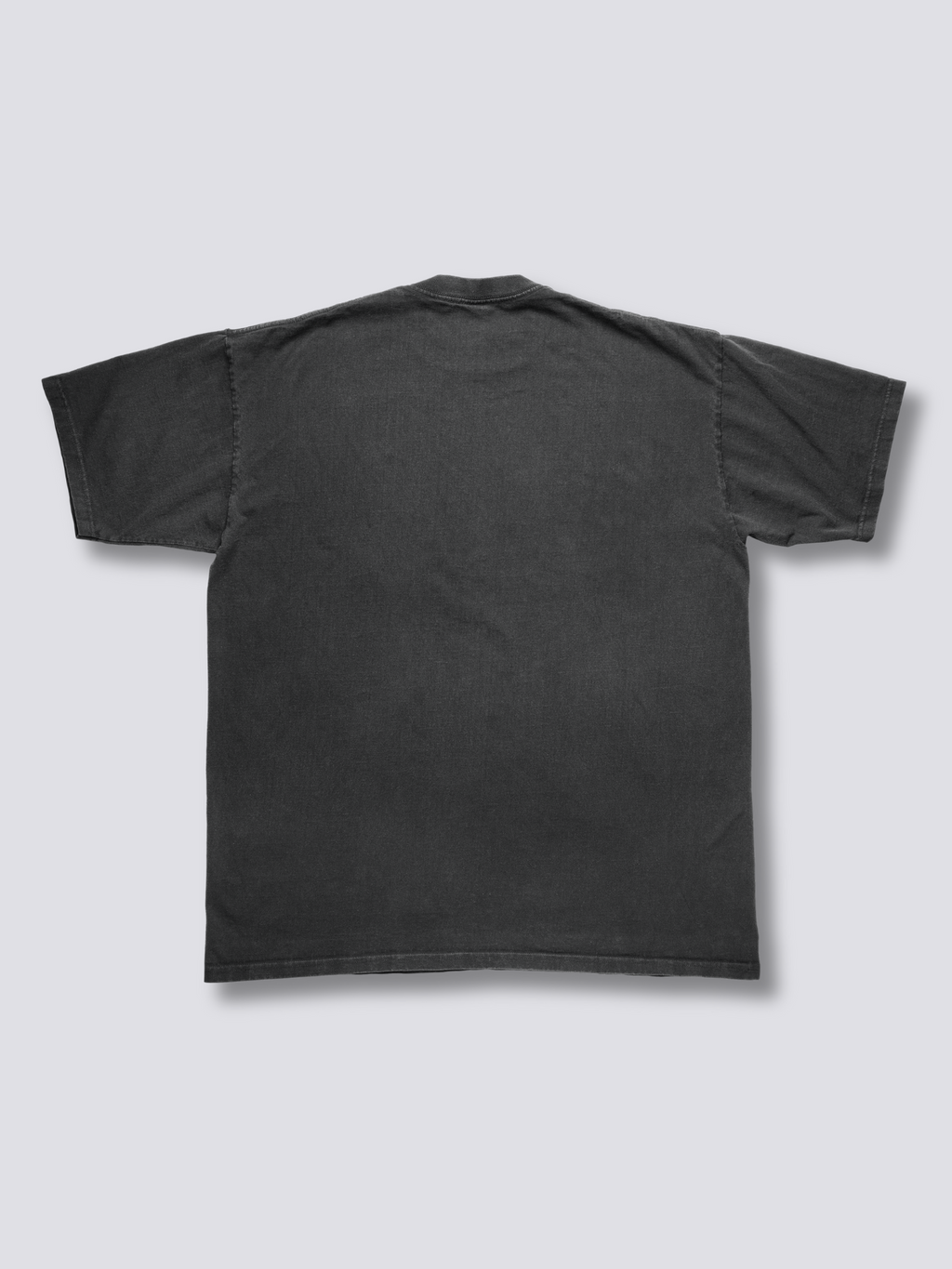 Anatomy of Ramen Vintage T-Shirt