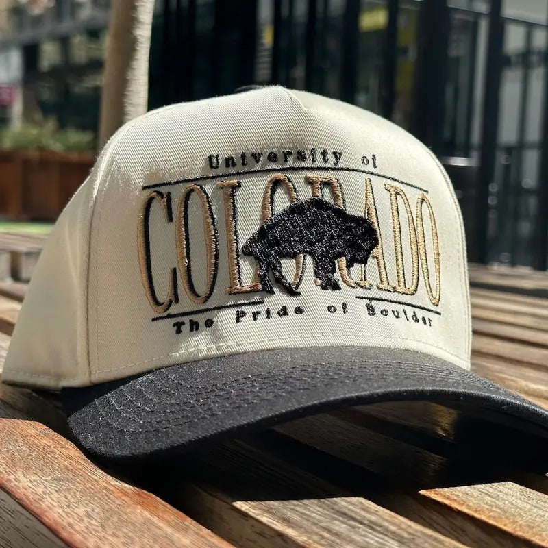 Vintage 90s  Style Colorado Snapback baseball cap, Gift for dad, Gift for him, gift for her