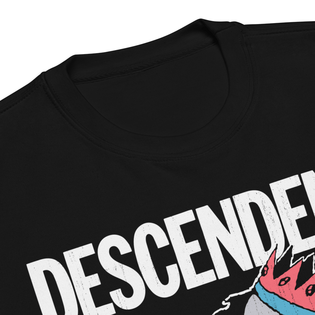Descendents 1987 Tour Vintage Sweatshirt