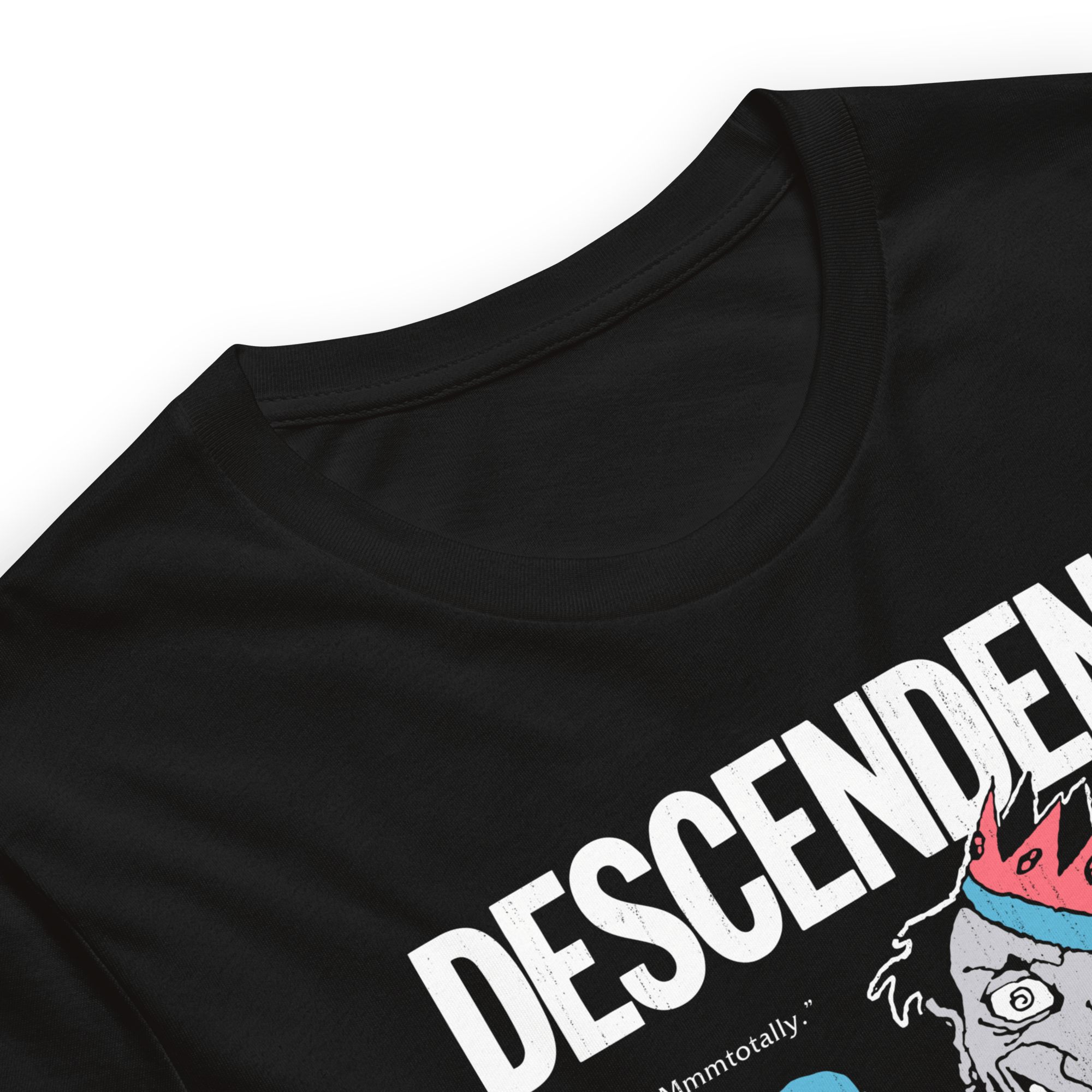 Descendents 1987 Tour Vintage T-Shirt
