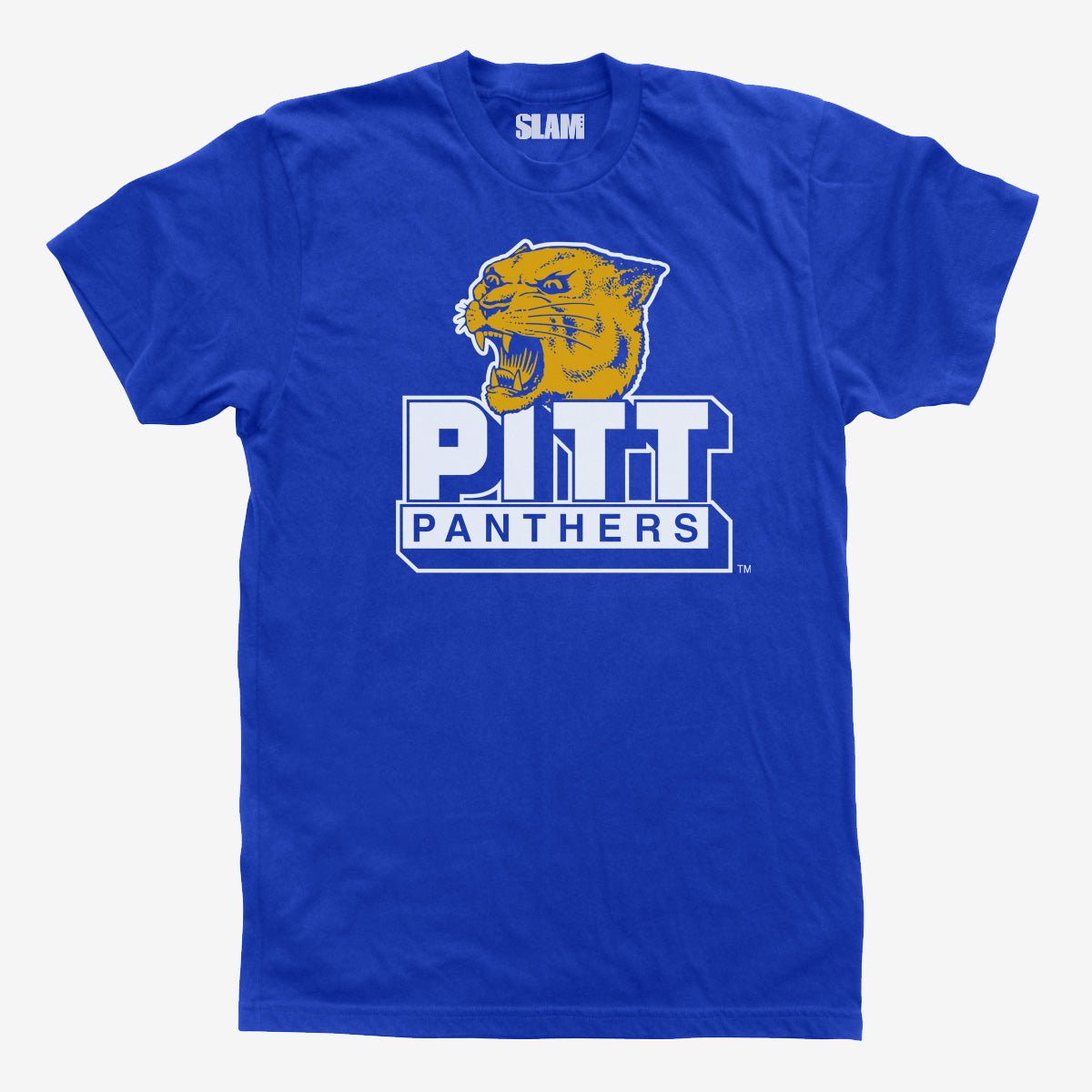 Hail to Pitt Vintage Tee