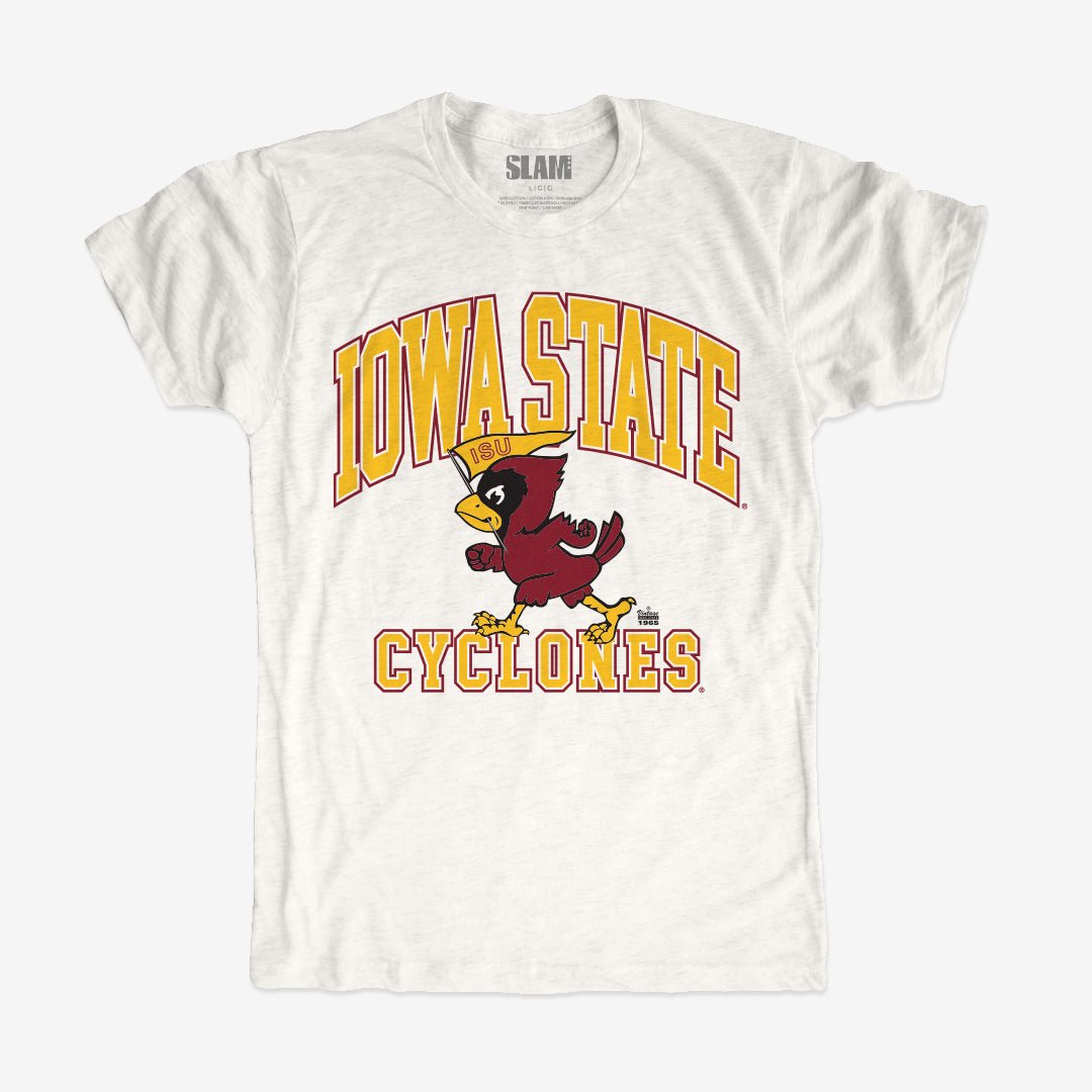 Iowa State Oversized Graphic Vintage Tee