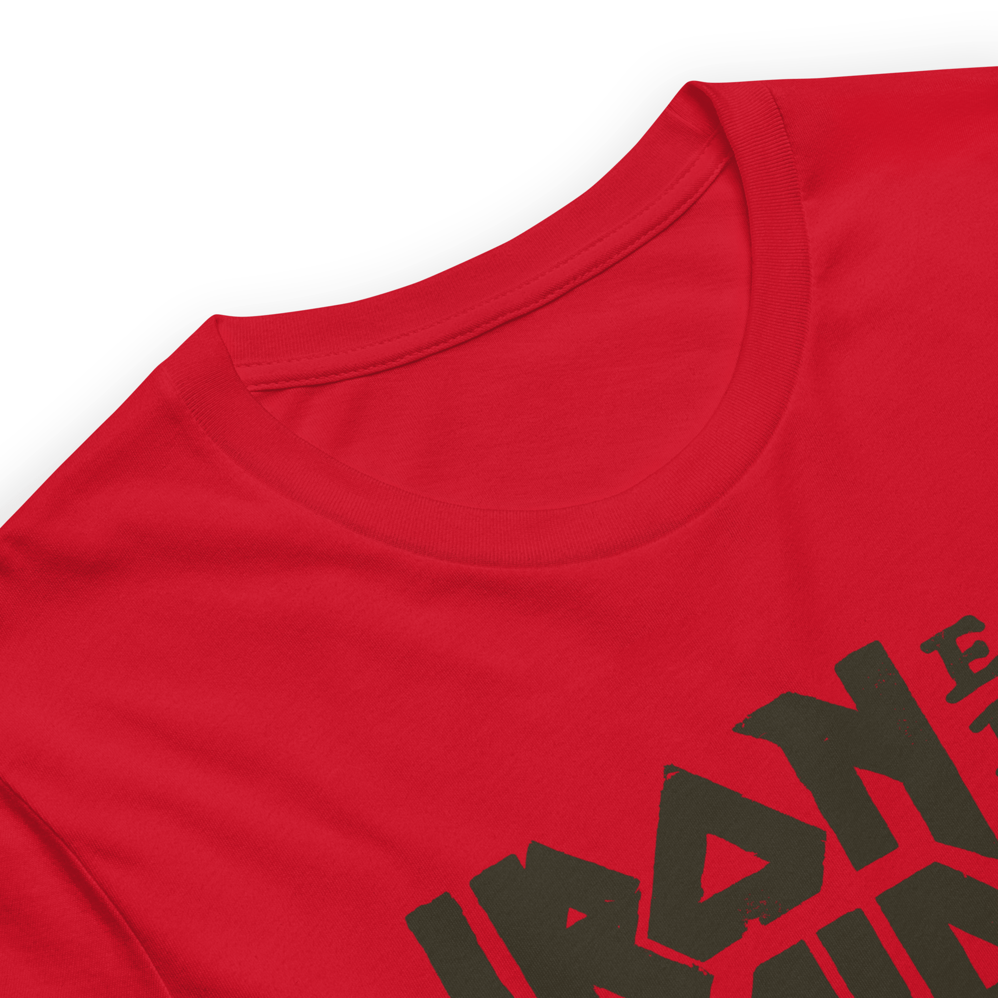 Iron Maiden Vintage 1975 Logo T-Shirt