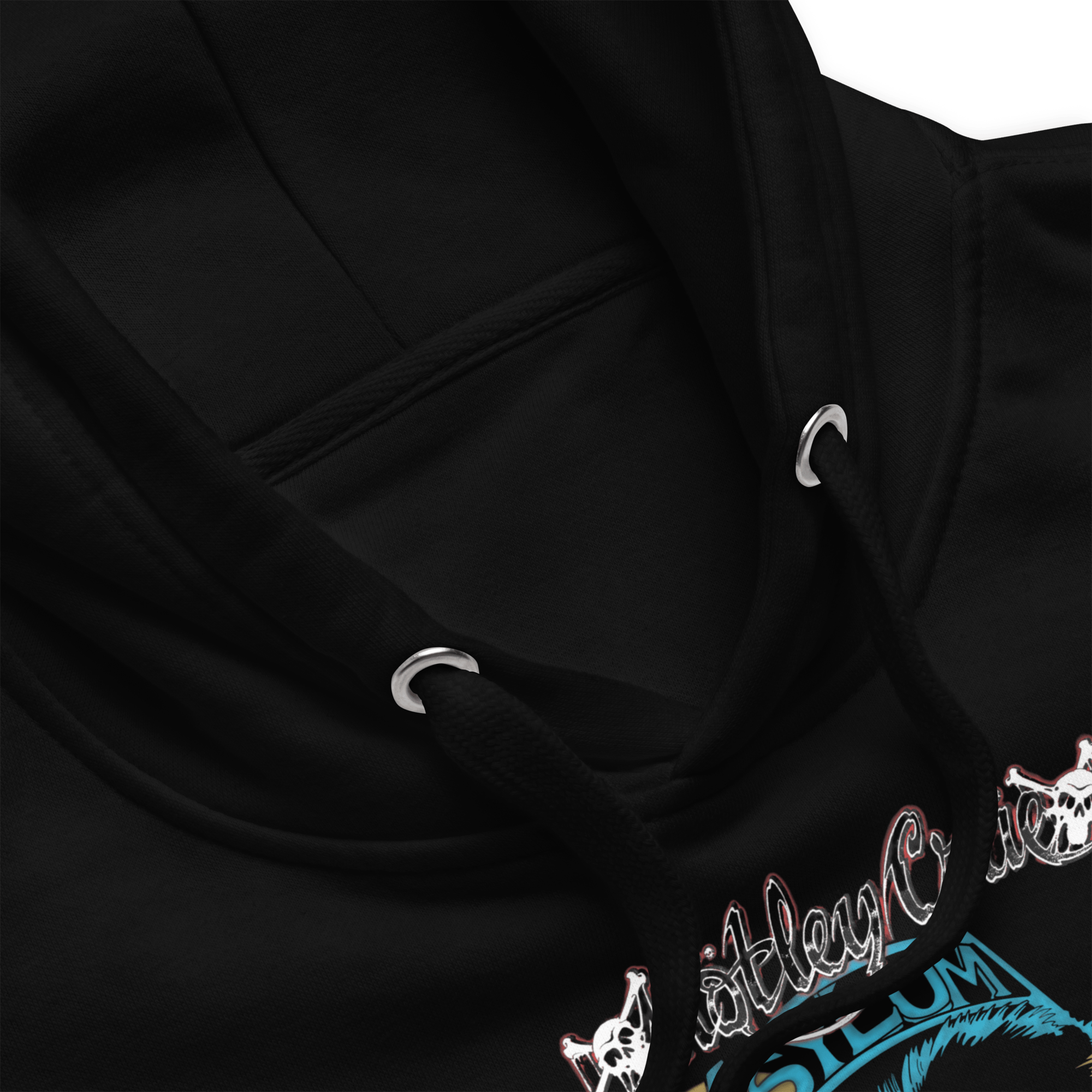 Motley Crue Asylum Vintage Hoodie