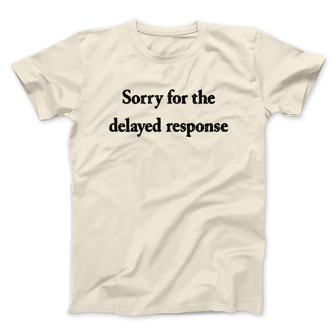 Sorry For The Delayed Response Funny Men/Unisex T-Shirt