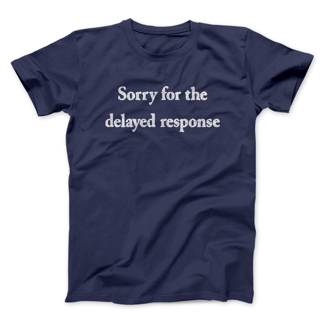 Sorry For The Delayed Response Funny Men/Unisex T-Shirt