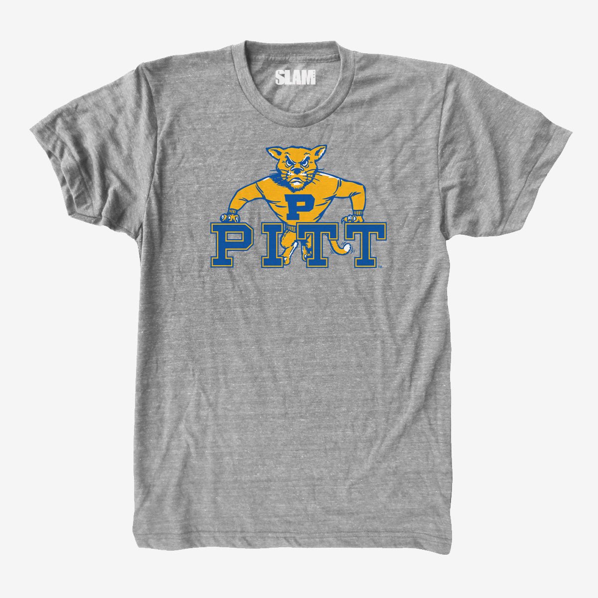 PITT Vintage Tee