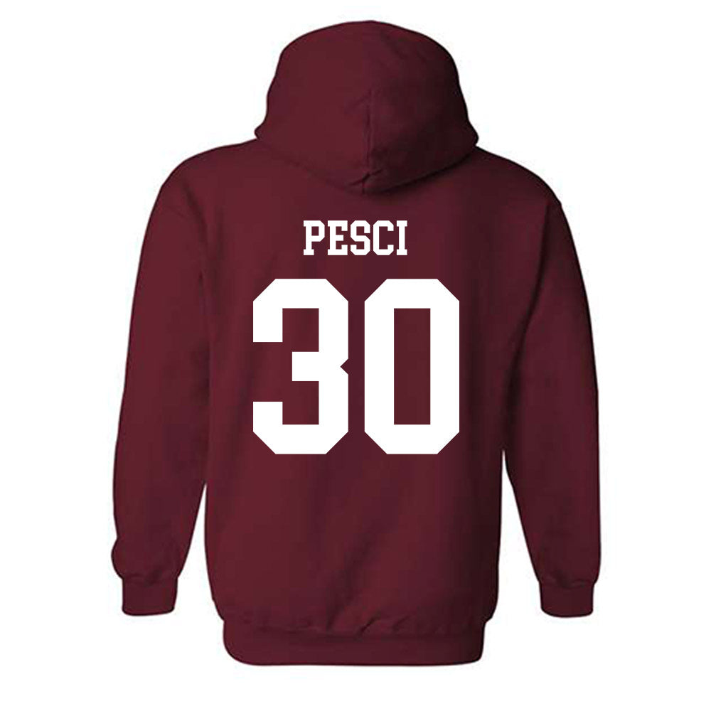 Alabama - NCAA Baseball : Anthony Pesci - Classic Shersey Hooded Sweatshirt