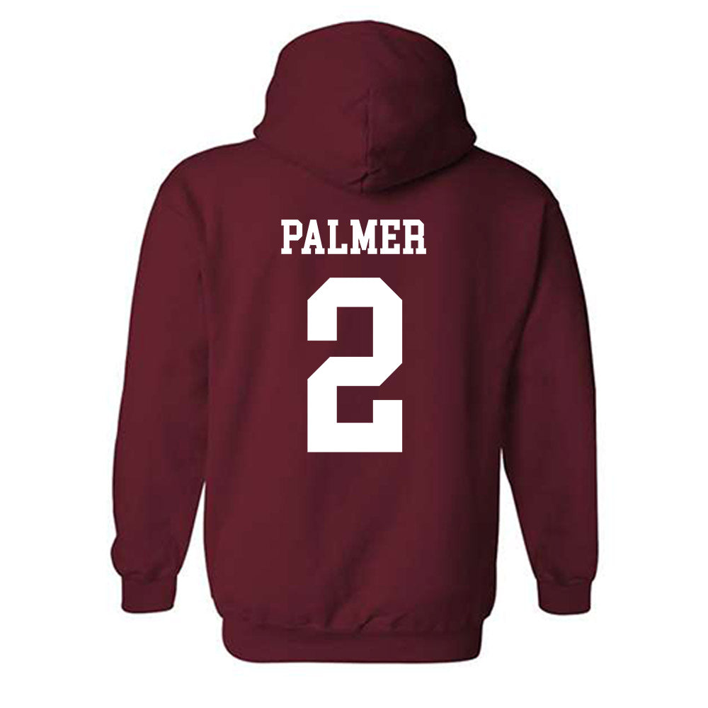 Alabama - Football Alumni : David Palmer - Classic Shersey Hooded Sweatshirt Style001
