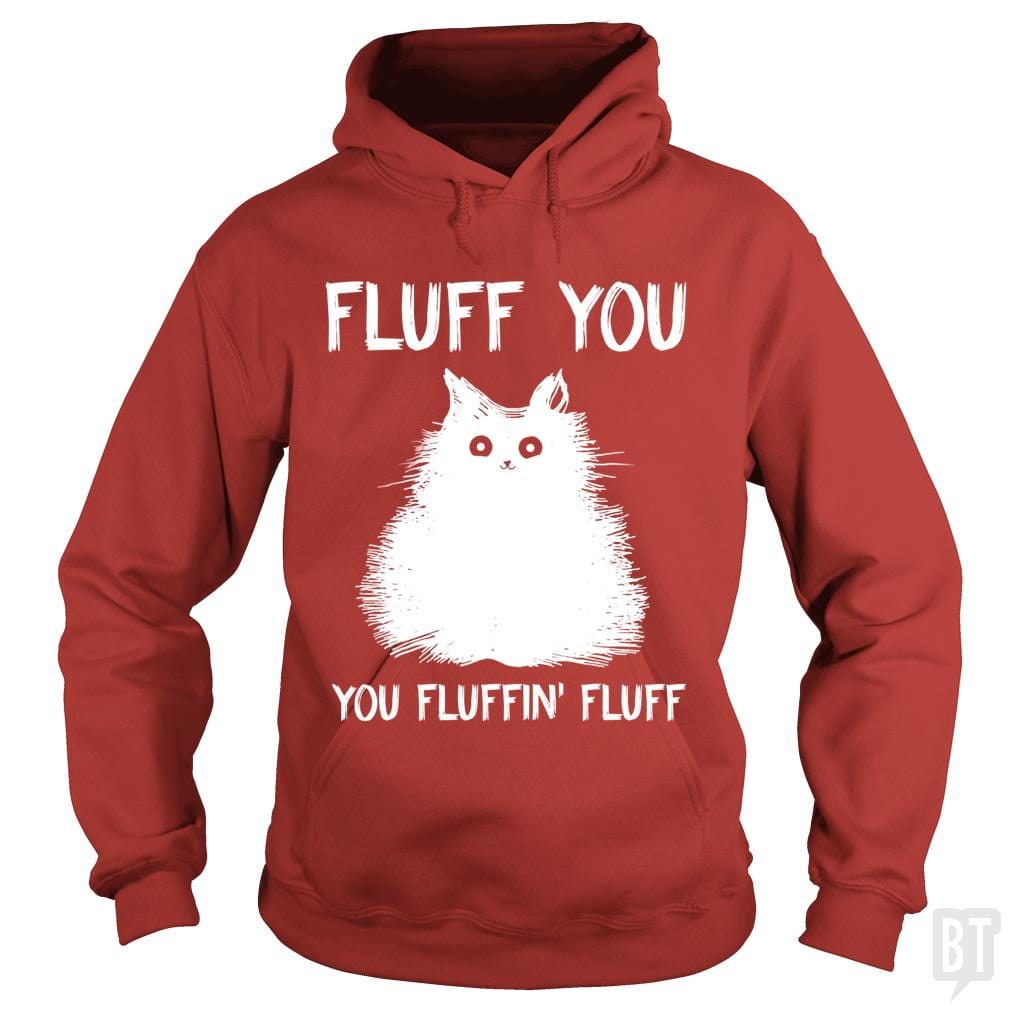 Fluff You You Fluff Funny Cat Hoodie